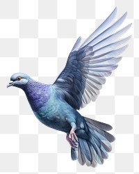 PNG Bird drawing animal flying. AI generated Image by rawpixel.