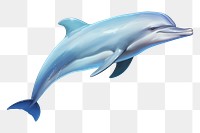 PNG Dolphin animal mammal fish. 