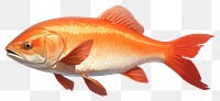 PNG Fish goldfish animal underwater. 