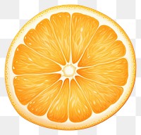 PNG Orange fruit grapefruit lemon. 