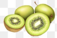 PNG Kiwi fruit plant food. AI generated Image by rawpixel.