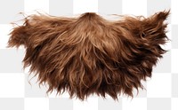 PNG Disheveled brown beard hairstyle hedgehog cushion. 