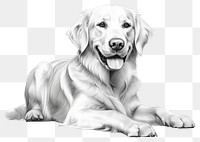 PNG Drawing sketch dog retriever. AI generated Image by rawpixel.