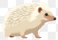 PNG Hedgehog porcupine animal mammal. 