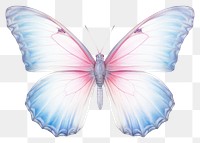 PNG Butterfly animal insect white background