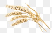 PNG Harvest wheat food  