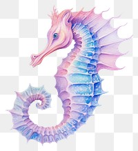 PNG Seahorse animal white background creativity. 