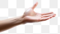PNG Hand finger person adult. 