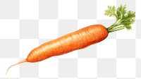 PNG Carrot vegetable plant food. 