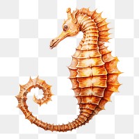 PNG Seahorse animal drawing creativity. 