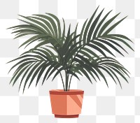 PNG Palm tree plant leaf houseplant. 