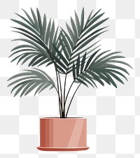 PNG Palm tree plant houseplant palm tree. 