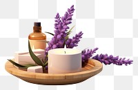 PNG Body care lavender candle flower. 