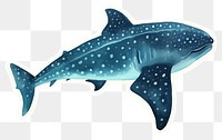 PNG Whale Shark shark animal mammal. 