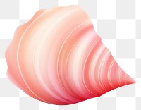 PNG Conch shell conch white background invertebrate. AI generated Image by rawpixel.