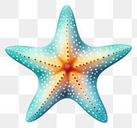 PNG Starfish starfish white background invertebrate. 