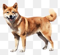 PNG Shiba dog mammal animal pet. 