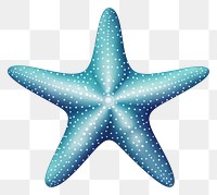 PNG Starfish starfish white background invertebrate. 