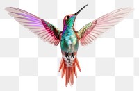 PNG Hummingbird animal flying wildlife