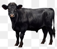 PNG Welsh black cattle livestock mammal animal. AI generated Image by rawpixel.
