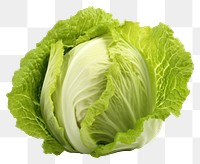 PNG Cabbage lettuce cabbage vegetable plant. 