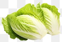 PNG Cabbage lettuce cabbage vegetable plant. 