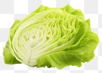 PNG Iceberg lettuce vegetable cabbage plant. 