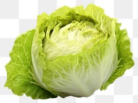 PNG Iceberg lettuce vegetable cabbage plant. 