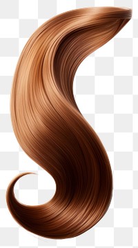 PNG Long healthy straight brown hair wood white background hairstyle. AI generated Image by rawpixel.