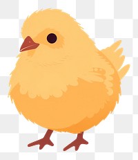 PNG Chick animal canary bird. 