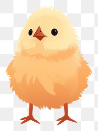 PNG Chick animal bird cartoon. 