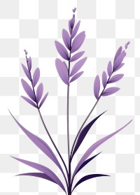 PNG A lavender flower plant grass. 