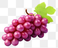 PNG Grapes food fruit plant. 