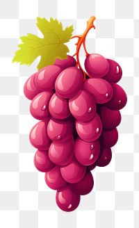 PNG Grapes cartoon fruit plant. 