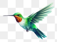 PNG Hummingbird hummingbird cartoon animal. 