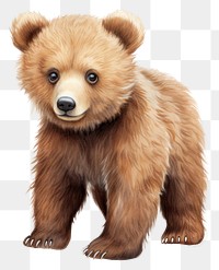 PNG Cute animals bear cartoon mammal. AI generated Image by rawpixel.