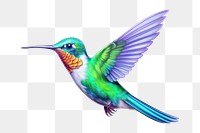 PNG Hummingbird hummingbird drawing cartoon. 