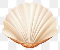 PNG Shell seashell clam white background. AI generated Image by rawpixel.