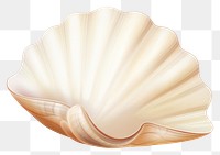 PNG Shell seashell clam  