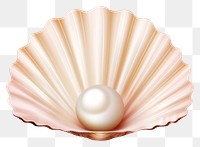 PNG Shell pearl seashell jewelry. AI generated Image by rawpixel.