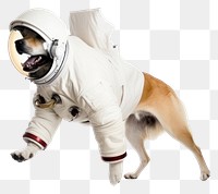 PNG Astronaut dog animal mammal sports. AI generated Image by rawpixel.