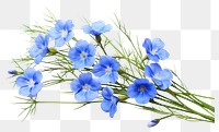 PNG Flower petal plant blue. AI generated Image by rawpixel.