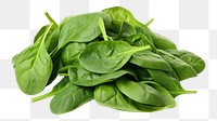 PNG Spinach vegetable plant green. 