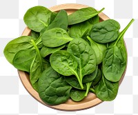 PNG Spinach spinach vegetable plant. 