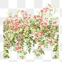 PNG Vintage pink roses, flower illustration, transparent background. Remixed by rawpixel.