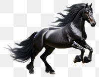 PNG  Black arabian horse stallion mammal animal. AI generated Image by rawpixel.