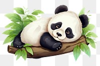 PNG Sleeping baby panda wildlife animal mammal. 