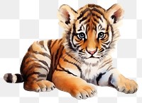 PNG  Baby tiger wildlife animal mammal. AI generated Image by rawpixel.