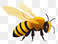 PNG Pantaloon bee animal insect hornet. 