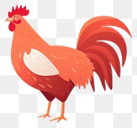 PNG Red Star Chicken chicken poultry animal. 